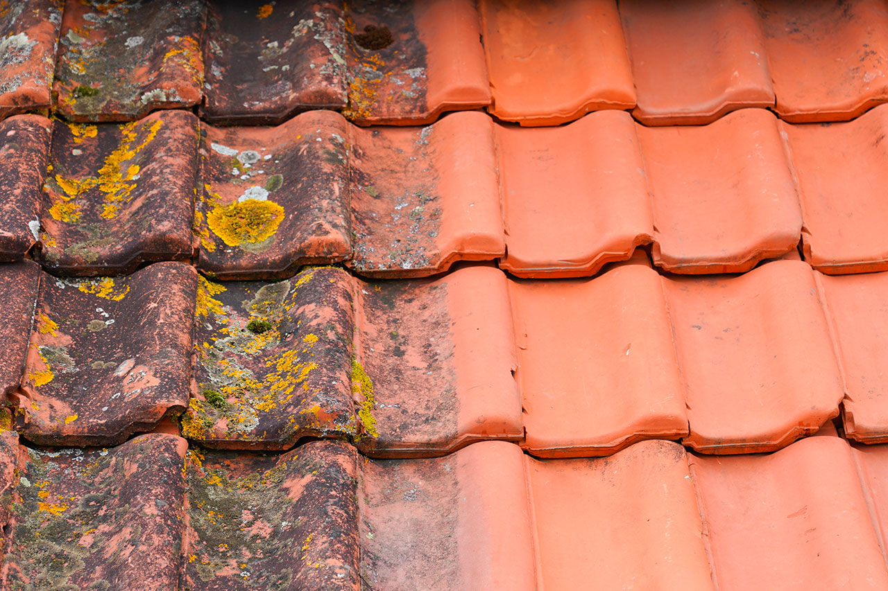 Tuiles abîmées pleines de mousse, toiture à nettoyer et rénover – Toitures Façades